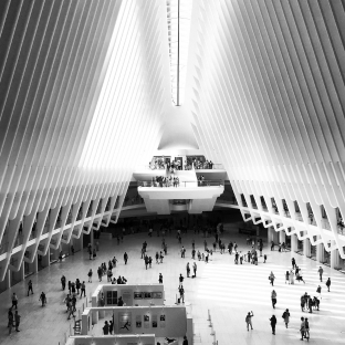 Event Spaces & Mall Activations